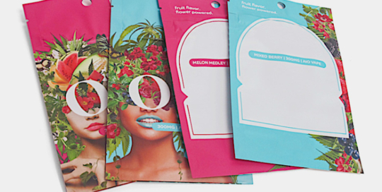 Flexible Vape Pouch Back